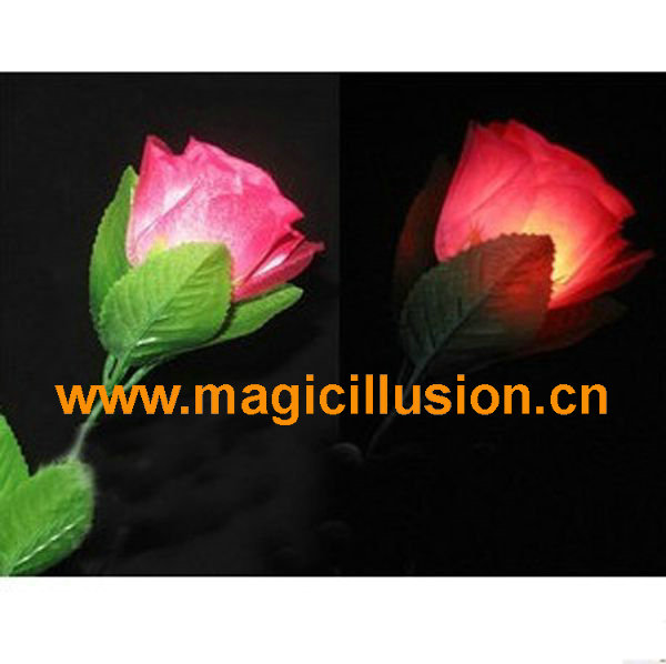 light up rose flower magic